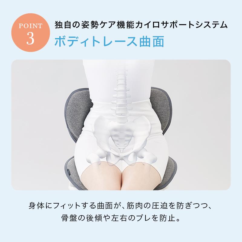 姿勢サポート 【HOME EXE】 HOME EXE Style Standard F01 姿勢サポート