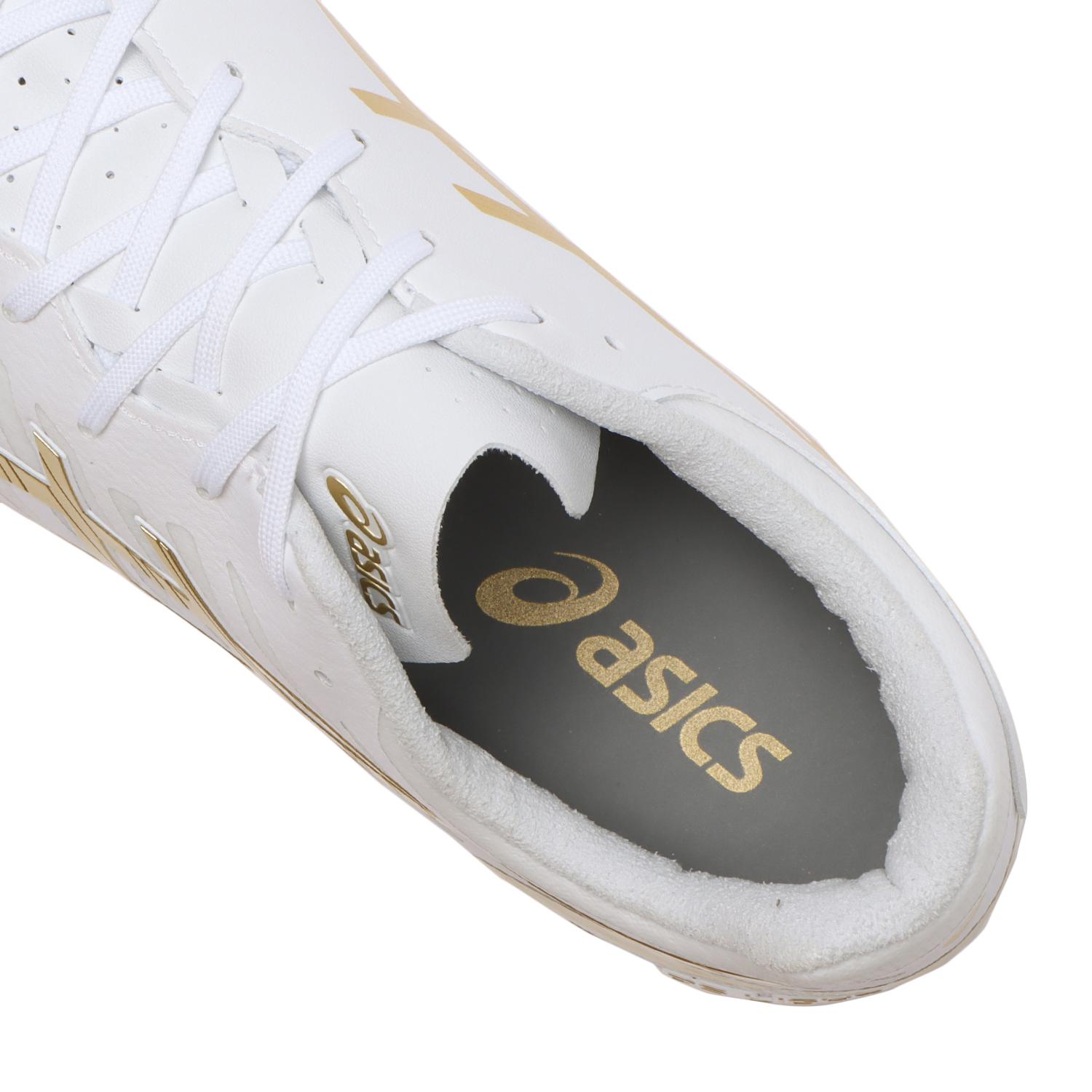 ASICS】 アシックス DS LIGHT ディーエスライト 1103A069.122 W/RCGL