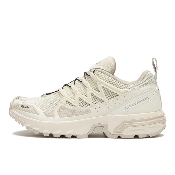 SALOMON �G�[�V�[�G�X�{OG Vnla/Ebny/Silv