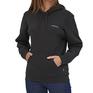  patagonia PATAGONIA Fitz Roy Icon Uprisal Hoody画像1