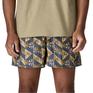  patagonia PATAGONIA M's Baggies Shorts 5 in画像3