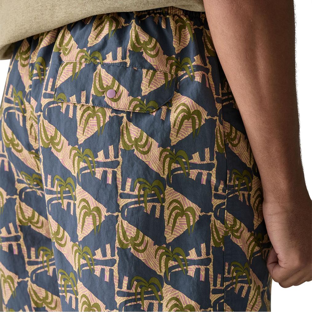  patagonia PATAGONIA M's Baggies Shorts 5 in画像5