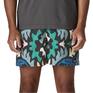  patagonia PATAGONIA M's Baggies Shorts 5 in画像3