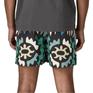  patagonia PATAGONIA M's Baggies Shorts 5 in画像4