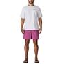  patagonia PATAGONIA M's Baggies Shorts 5 in画像8