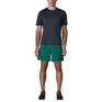  patagonia PATAGONIA M's Baggies Shorts 5 in画像2