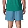  patagonia PATAGONIA M's Baggies Shorts 5 in画像4