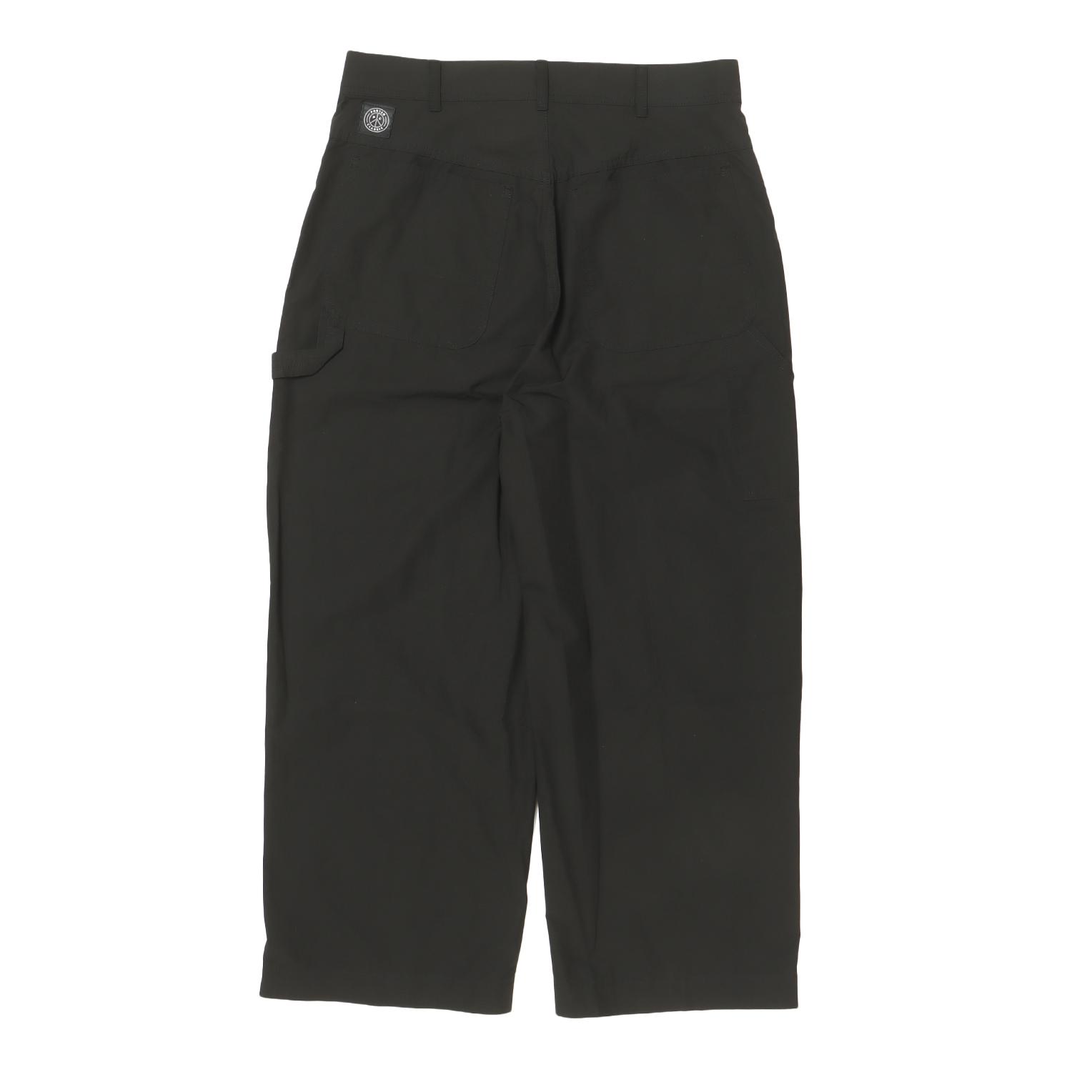  PORTER CLASSIC WEATHER PAINTER PANTS画像3