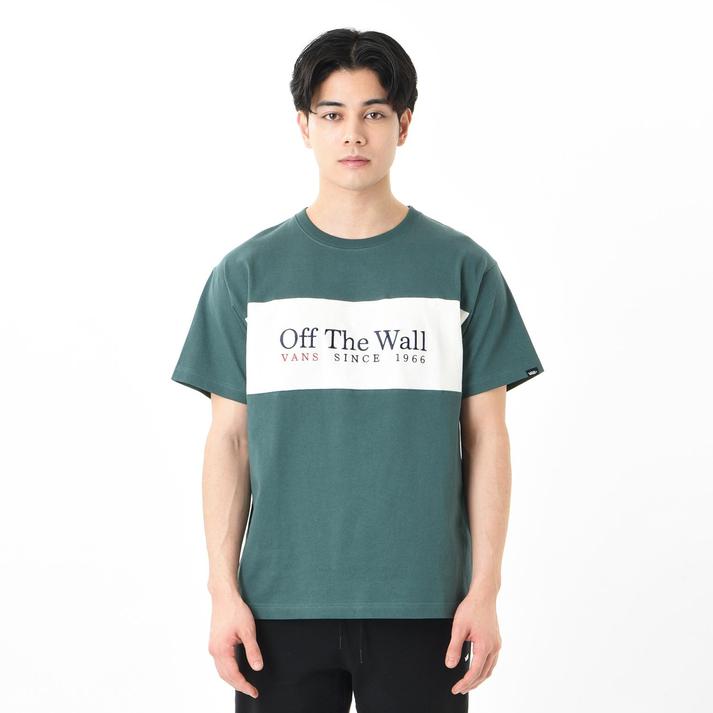 VANS �V���[�g�X���[�u GREEN