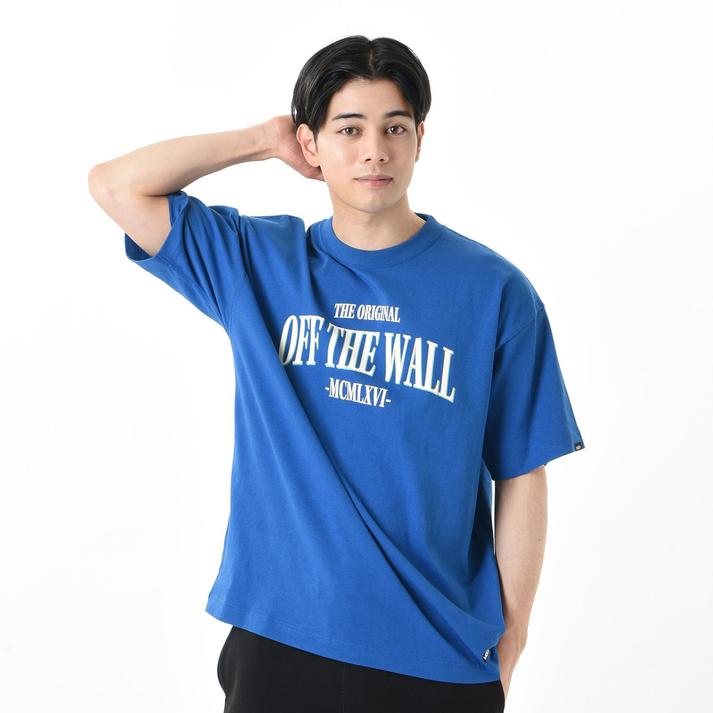 VANS �V���[�g�X���[�u BLUE