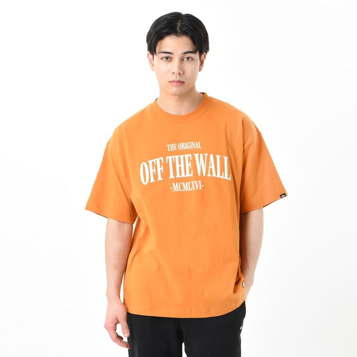 VANS �V���[�g�X���[�u BROWN