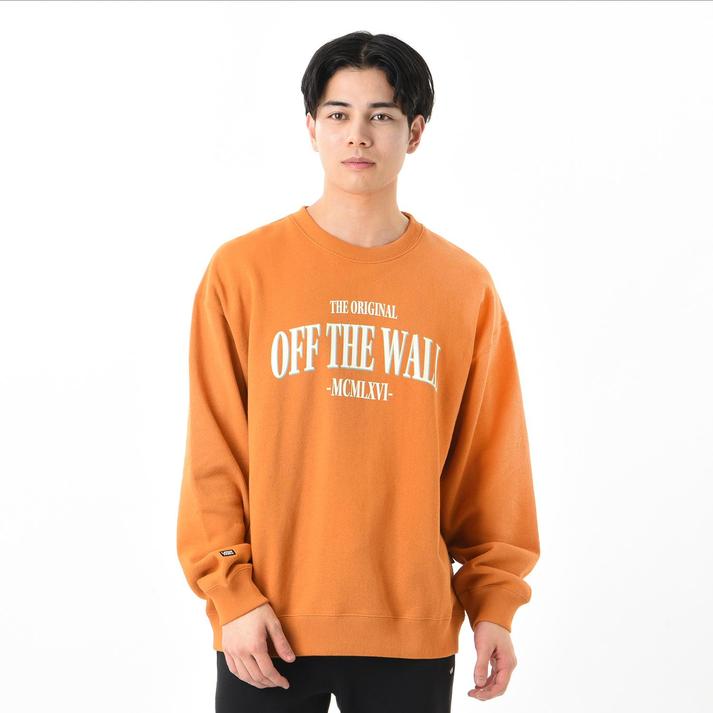 VANS �X�E�F�b�g�N���[ BROWN