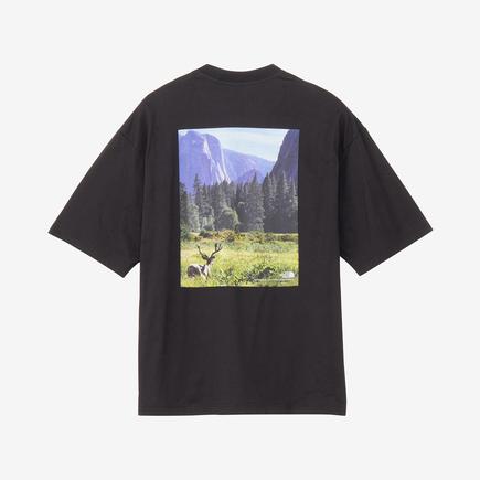 THE NORTH FACE ショートスリーブヨセミテシーナリーティー