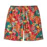  patagonia PATAGONIA M's Baggies Long 7 in画像1