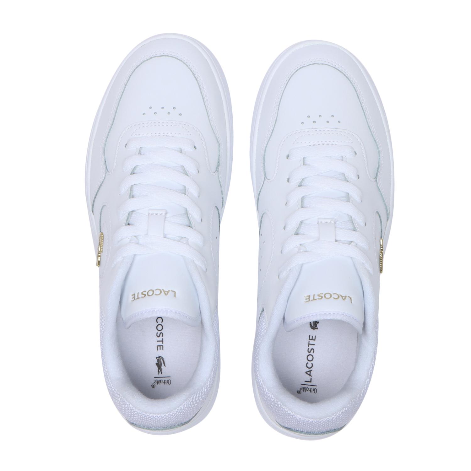 LACOSTE】 ラコステ LINESET 124 1 SFA LINESET 124 1 SFA