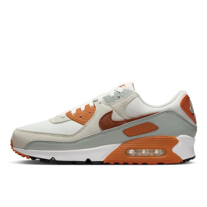 NIKE �G�A �}�b�N�X 90 100SMWHT/LTBTTN