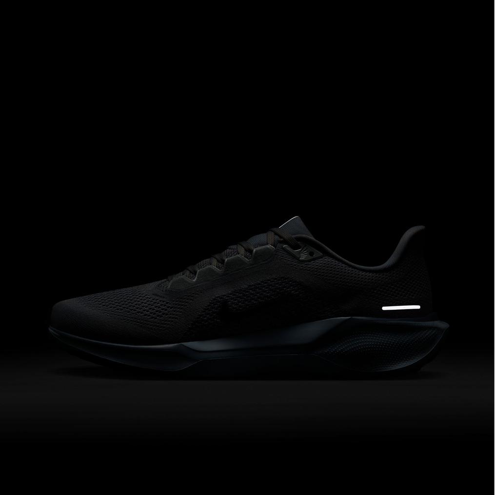  NIKE NIKE Air Zoom Pegasus 41画像10