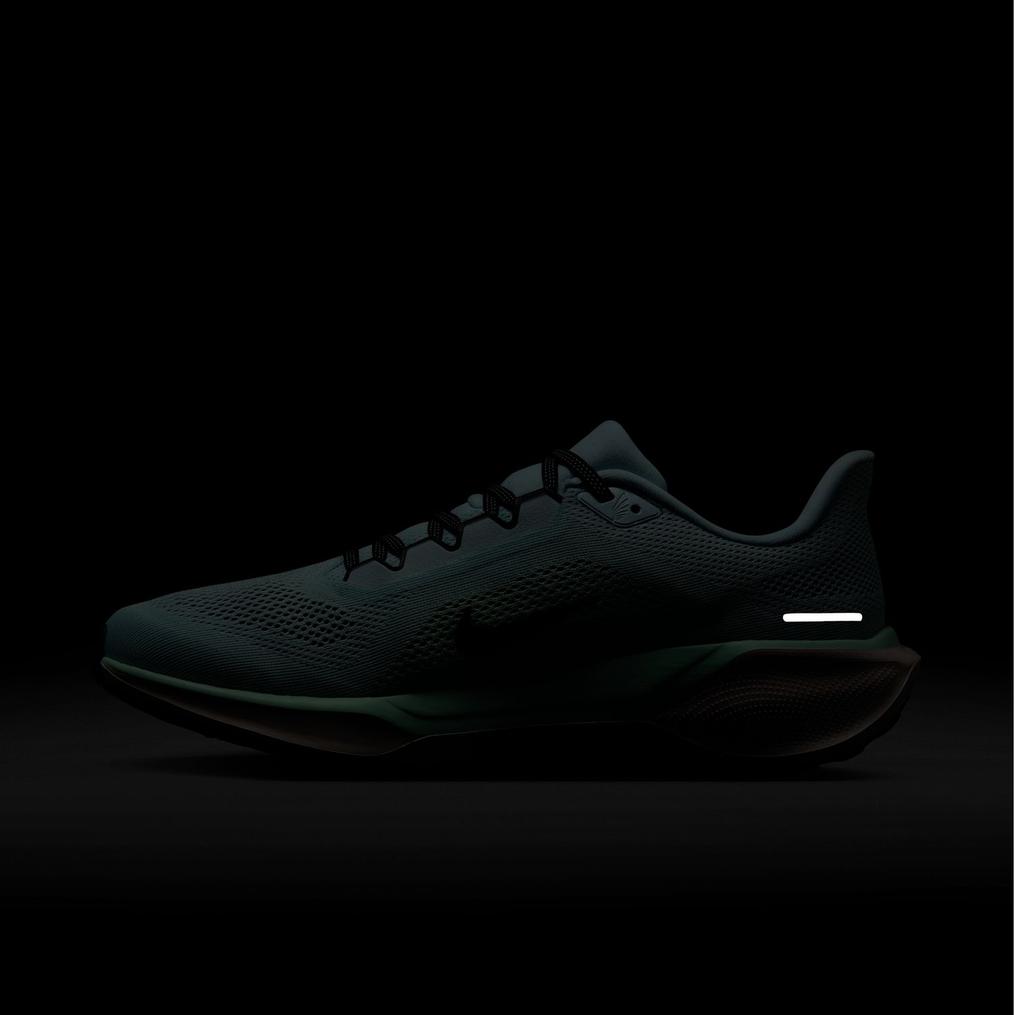  NIKE NIKE Air Zoom Pegasus 41画像10