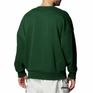  UNDER ARMOUR UNDER ARMOUR UA Icon Heavy Weight Terry Oversized Crew画像3