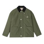 DK OLIVE