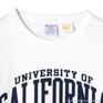 CHAMPION CHAMPION T1011 UCB L/S T-Shirt画像2