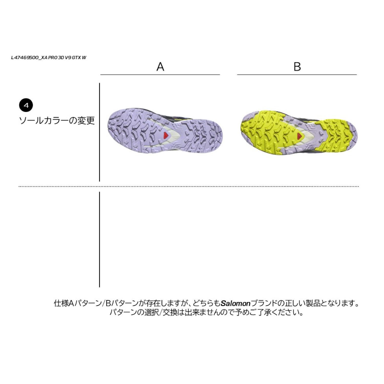 SALOMON】 サロモン XA PRO 3D V9 GTX W エックスエー3D V9 GTX