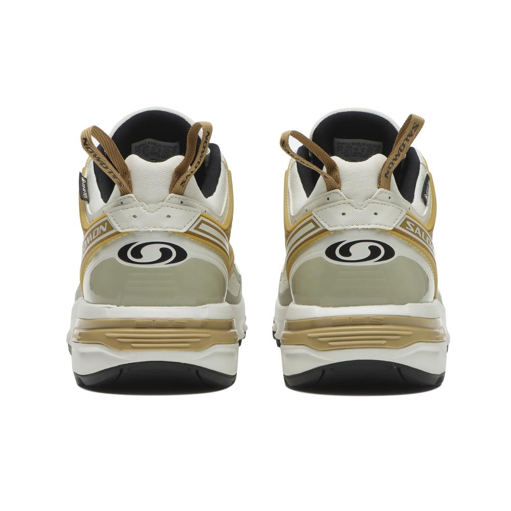 SALOMON ACS PRO GORE-TEX｜BILLY