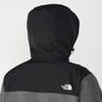  THE NORTH FACE THE NORTH FACE Denali Hoodie画像4
