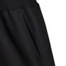  THE NORTH FACE THE NORTH FACE Enduris Racing Short画像4