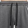 NIKE NIKE Therma-FIT Swoosh Fitness Pants画像2