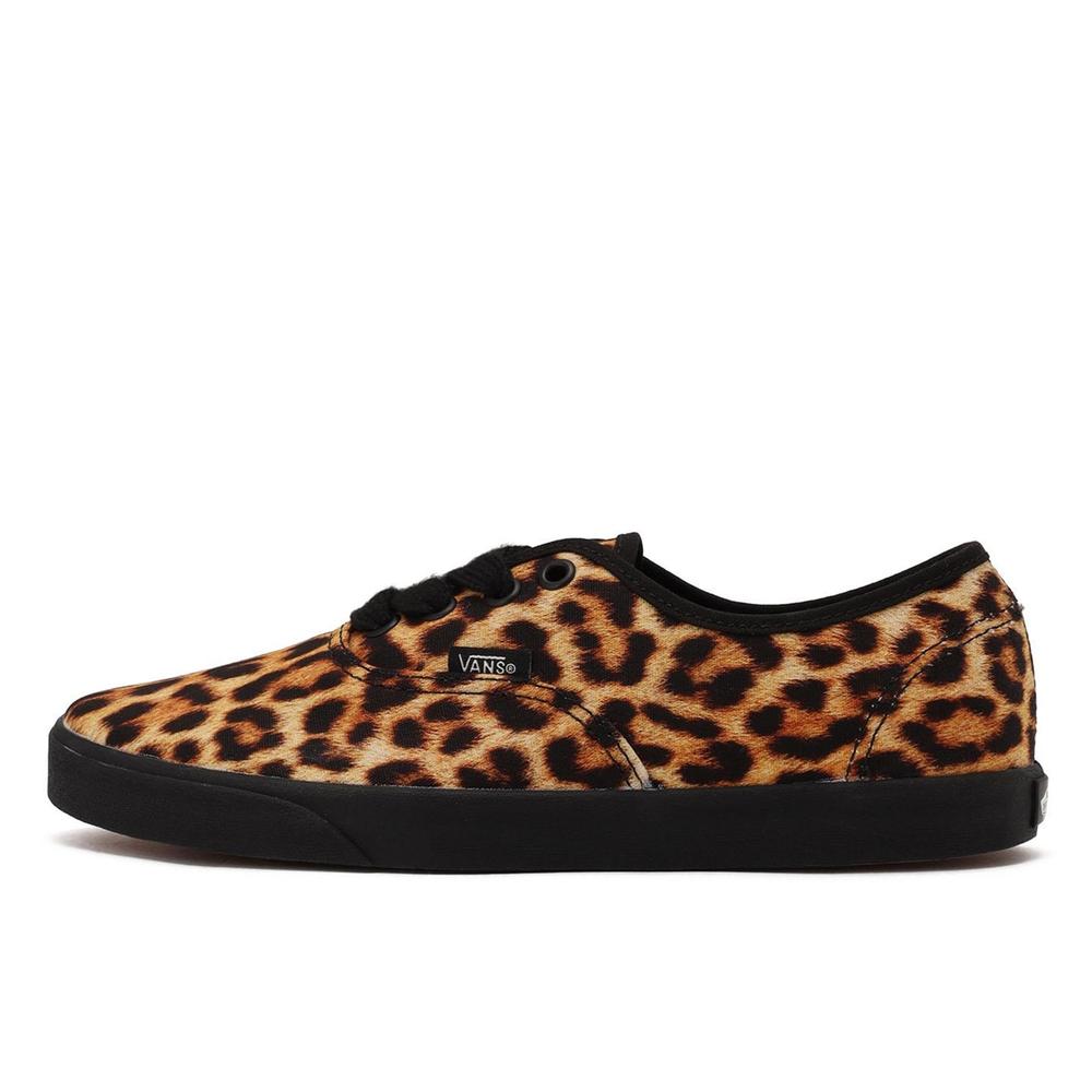 VANS AUTHENTIC LOWPRO｜BILLY
