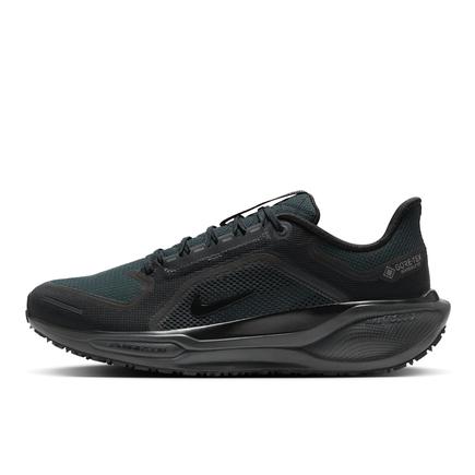 NIKE ペガサス 41 GTX