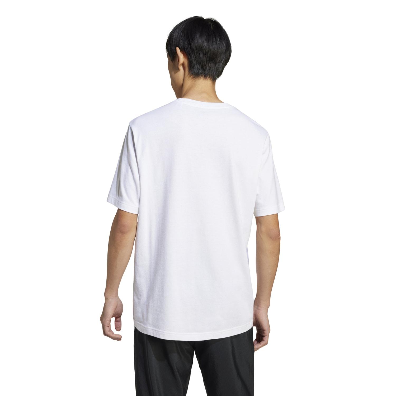 adidas アディダス M ADICOLOR POLY T ショートスリーブ adidas】 アディダス M ADICOLOR POLY T ショートスリーブ