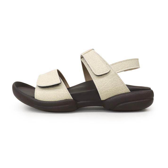 REGETA �o�b�N�x���g�t���O�~�T���_�� IVO