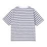  DANTON DANTON W's Cotton Jersey Short T-Shirt Stripe画像3