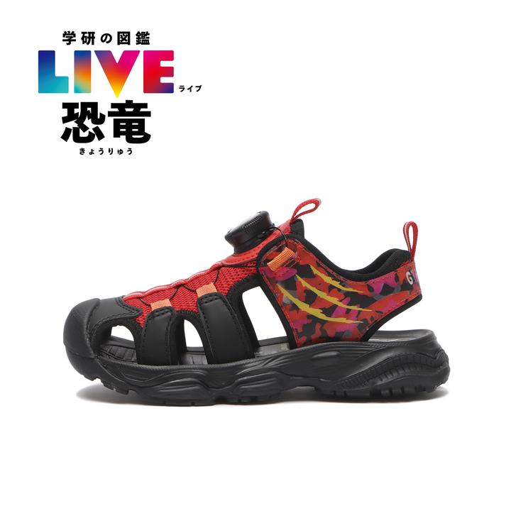 HAWKINS �W�[�e�B�[�_�C�i�\�[ TYRANNOSAURUS/R