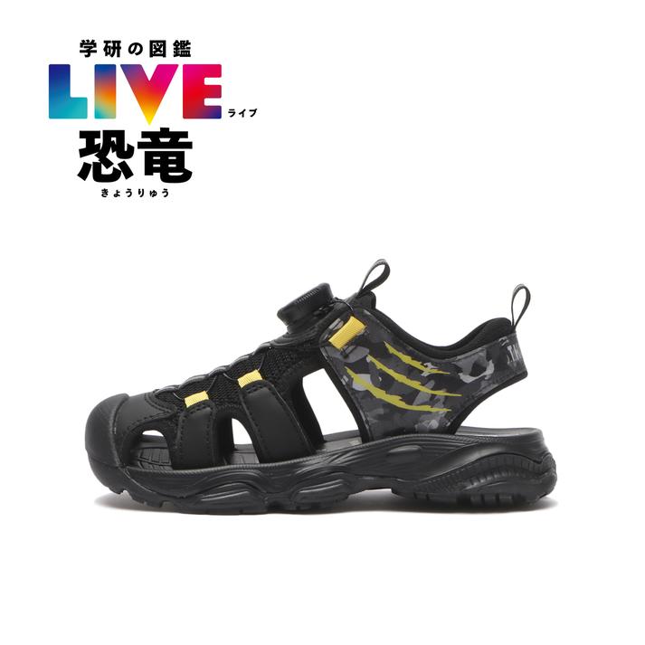 HAWKINS �W�[�e�B�[�_�C�i�\�[ STEGOSAURUS/BB