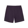  THE NORTH FACE THE NORTH FACE Flexible Short 7 inch画像5