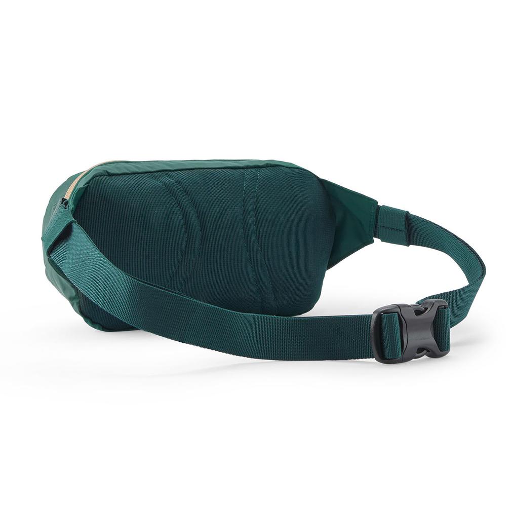  patagonia PATAGONIA Terravia Mini Hip Pack 1L画像3