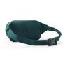  patagonia PATAGONIA Terravia Mini Hip Pack 1L画像3