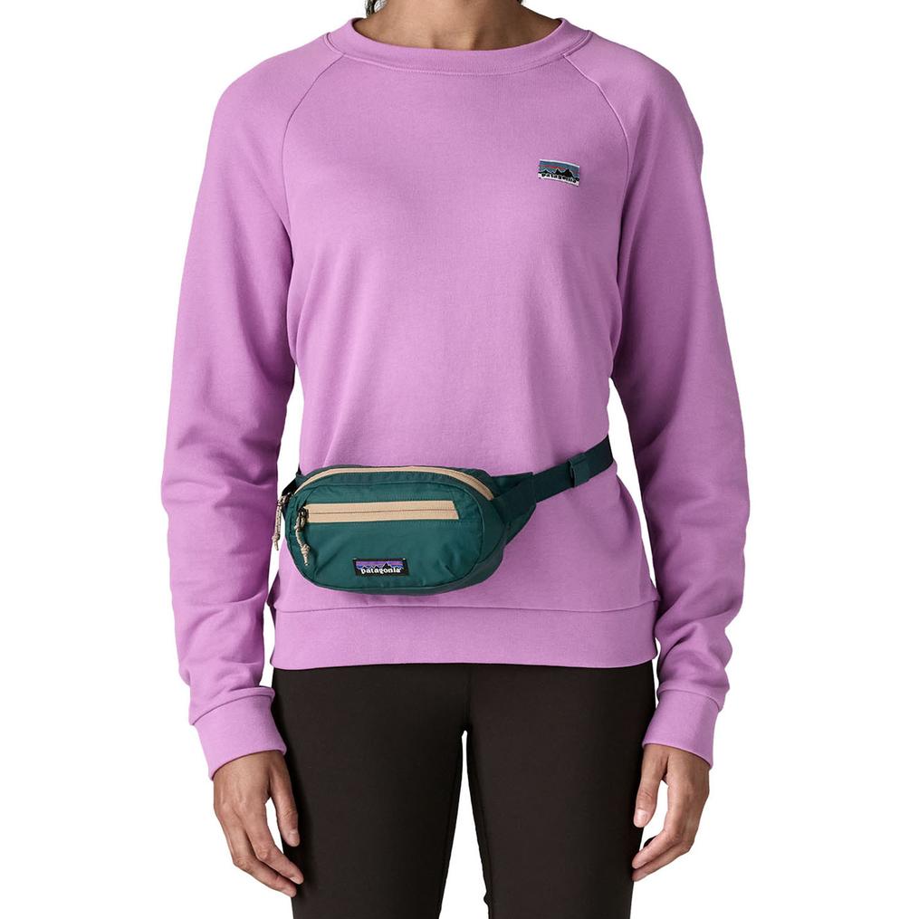  patagonia PATAGONIA Terravia Mini Hip Pack 1L画像2
