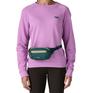  patagonia PATAGONIA Terravia Mini Hip Pack 1L画像2