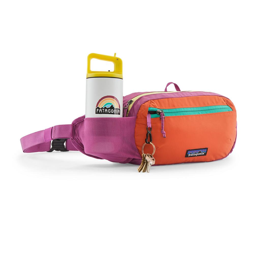  patagonia PATAGONIA Terravia Mini Hip Pack 1L画像4