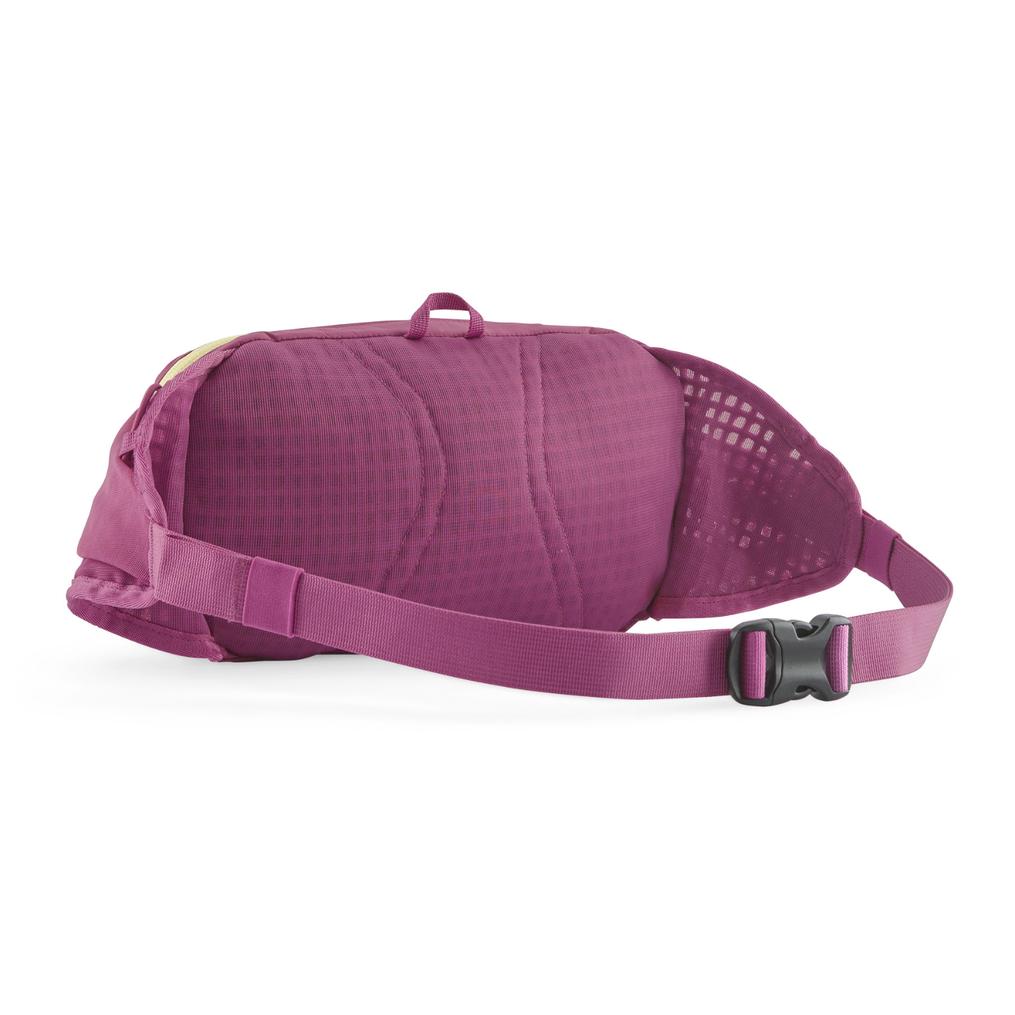  patagonia PATAGONIA Terravia Hip Pack 5L画像3