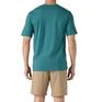 patagonia PATAGONIA M's Applied Imagination Organic Tee画像3