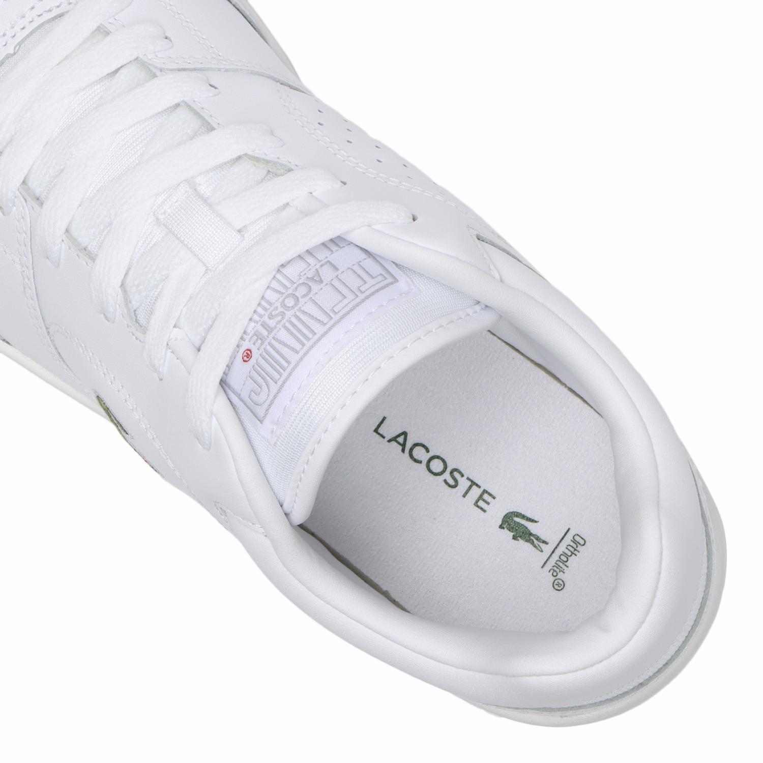 LINEDRIVE 125 2 SMA 【LACOSTE】 ラコステ LINEDRIVE 125 2 SMA