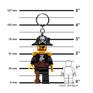  LEGO LEGO LEGO LITE Captain Brickbeard画像8