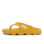 DAILILY YELLOW