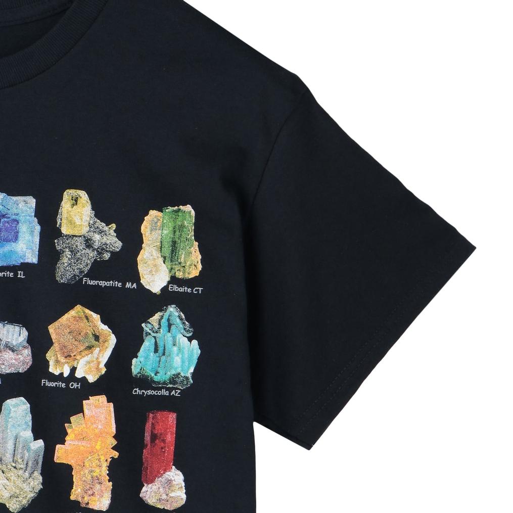  ヴァリアスプリンツ VARIOUS PRINTS Ulitimate Mineral Guide Tee画像4