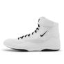  NIKE NIKE Inflict Limited Edition画像1